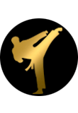 icon gold taekwondo